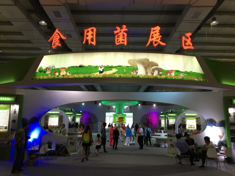 抖圈(中国)为du而生